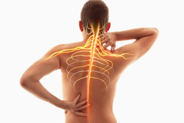 Spine & Nerve Pain