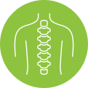 Spine